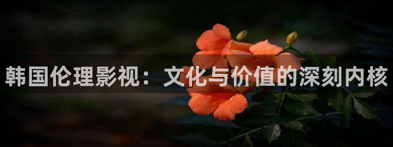 九九影院在线观看免费大全电视剧