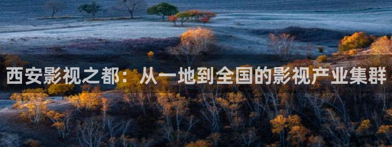 九九视频精品免费在线观看