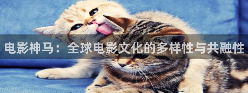 九九电视剧在线播放免费